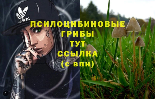 a pvp Арсеньев