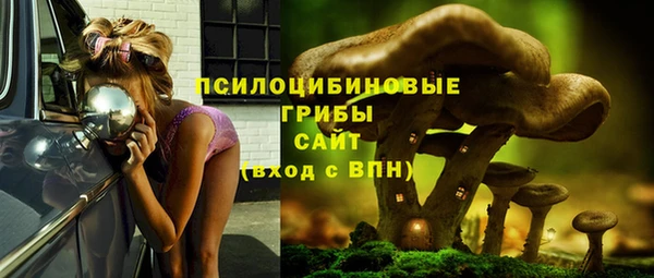a pvp Арсеньев