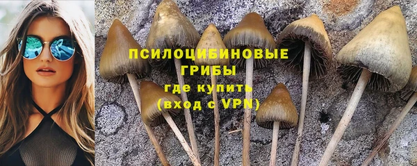 a pvp Арсеньев