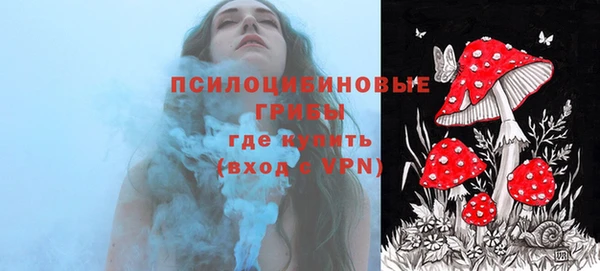 a pvp Арсеньев